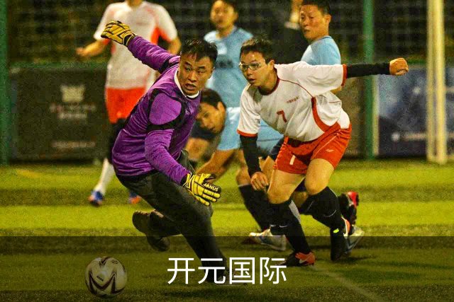 开元国际公司简介